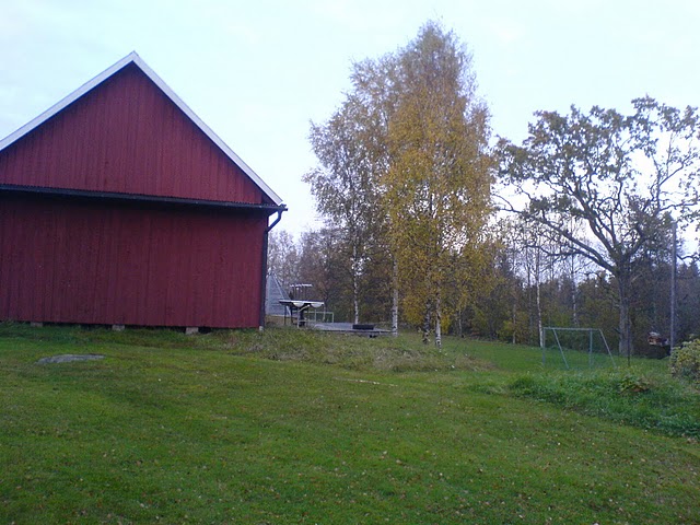 Bild nr 5, DSC00146.JPG
