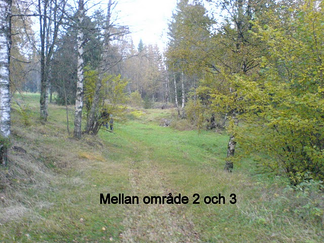 Bild nr 11, DSC00150.JPG