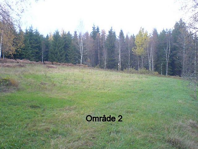 Bild nr 10, DSC00151.JPG