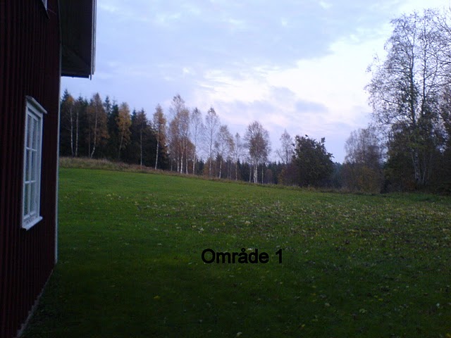 Bild nr 16, DSC00156.JPG